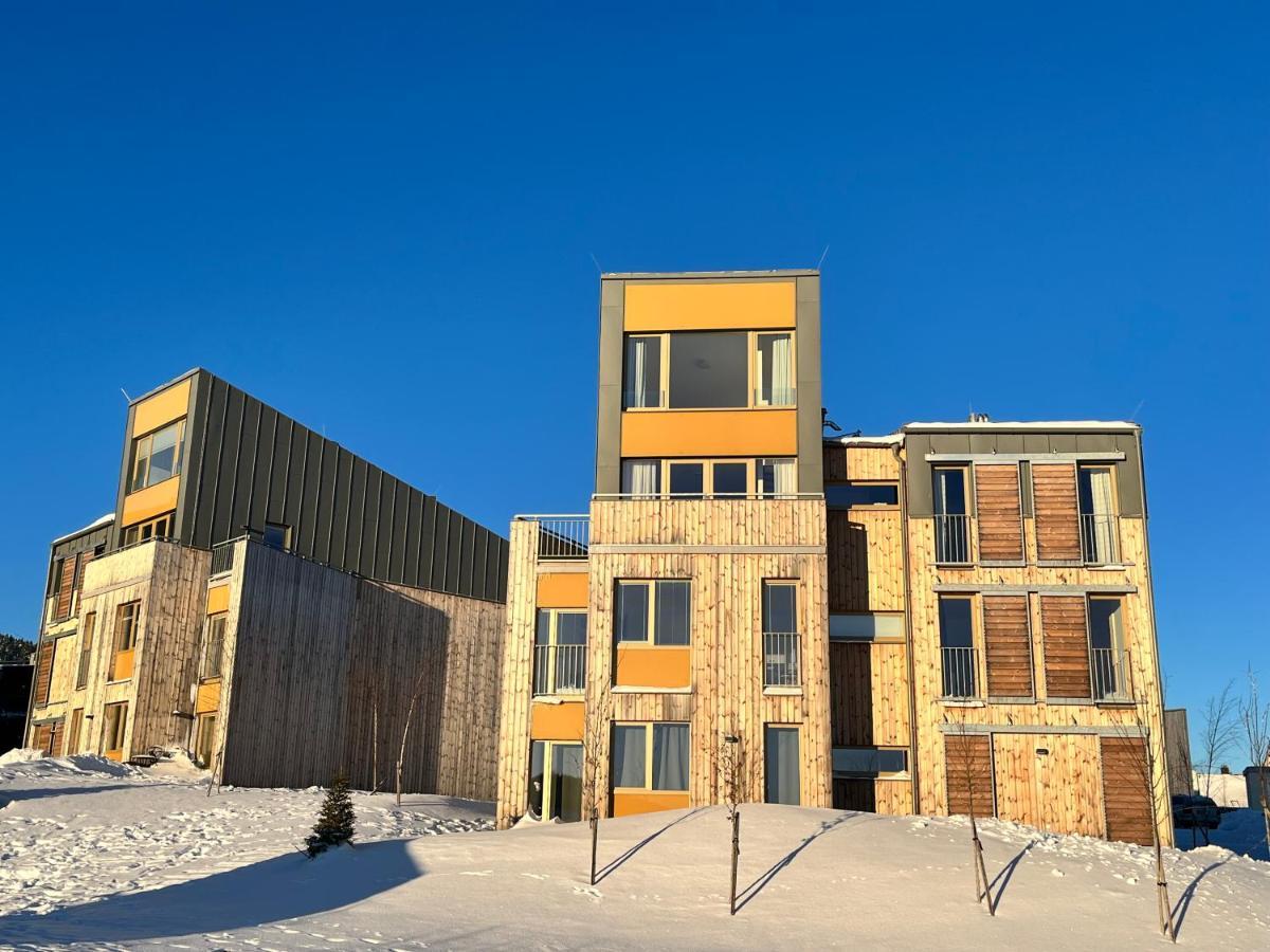 Loučná pod Klínovcem Meadows Apartments Klinovec מראה חיצוני תמונה